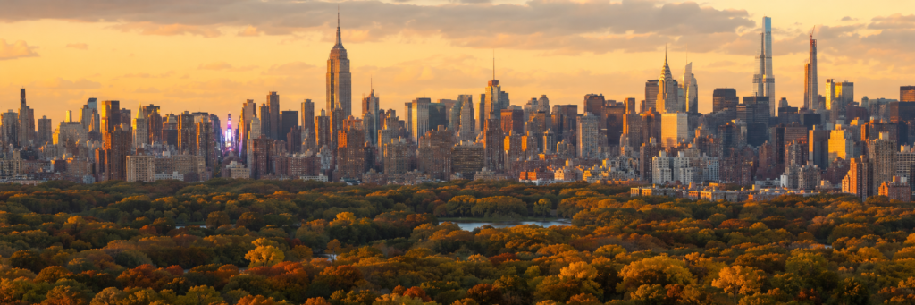 flight deals to JFK